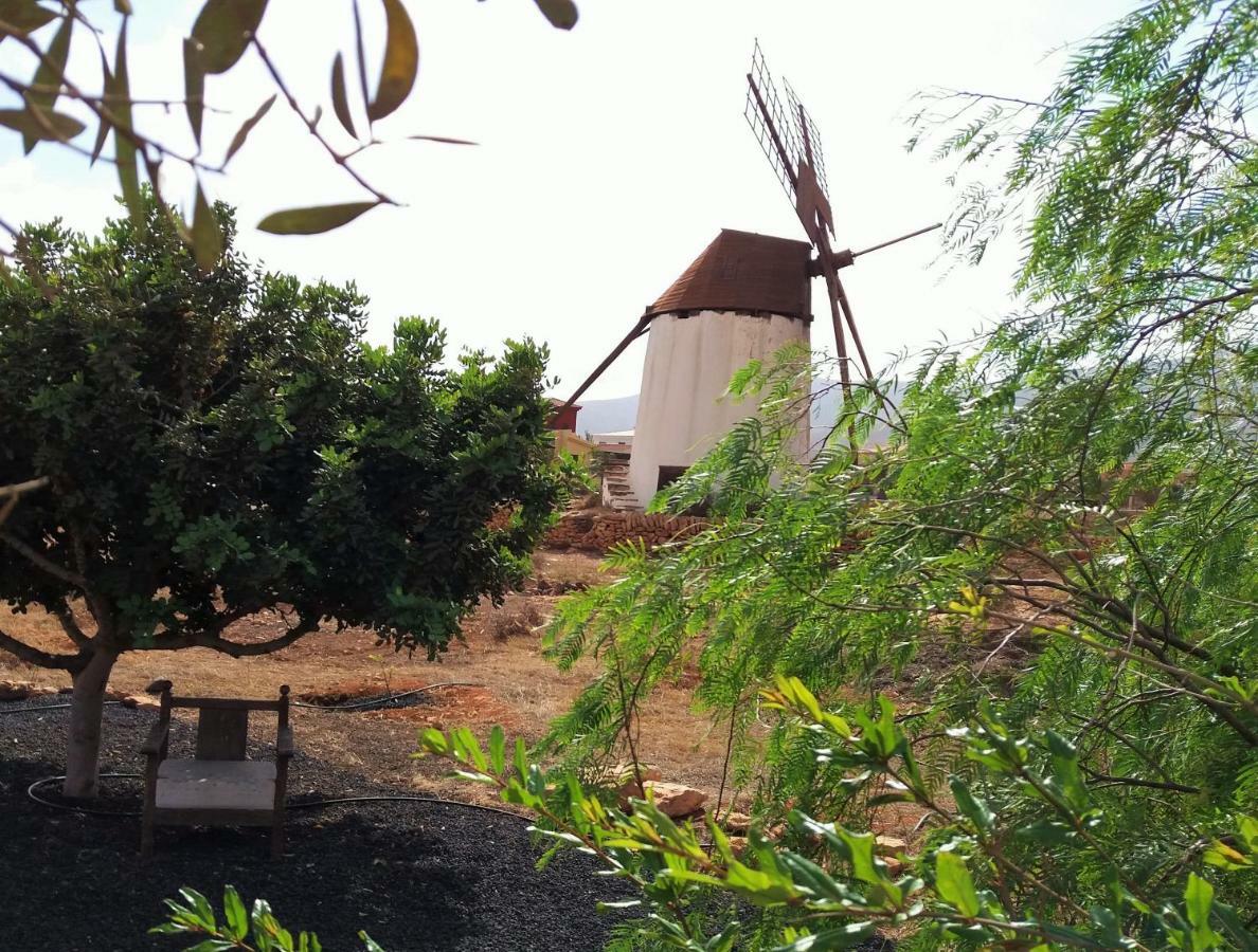 Molino de la Corte Antigua  Exterior foto
